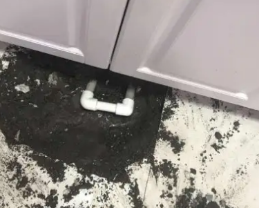 三明市查漏水哪家好